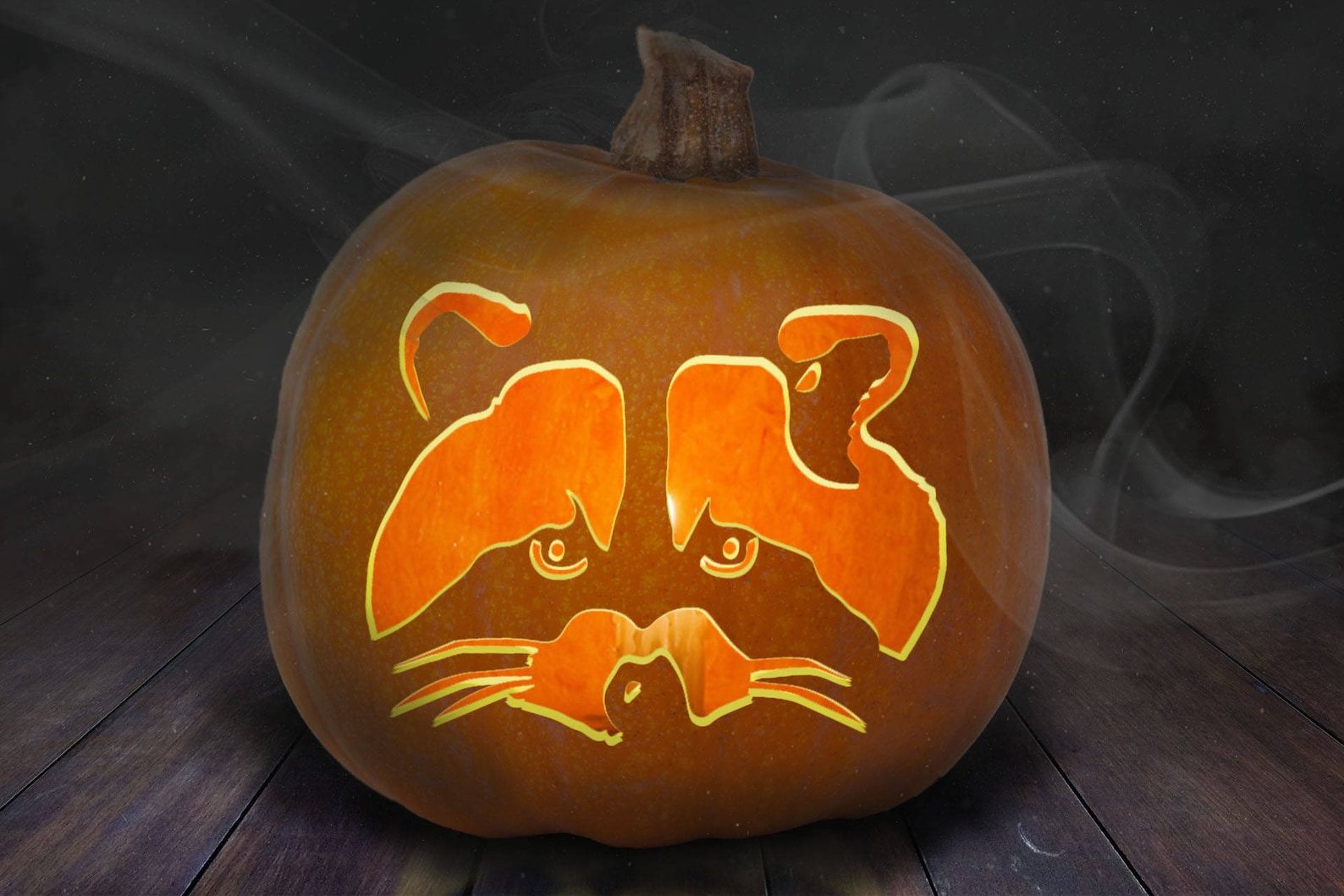 After the events of the first episode, she moves from . 71 Best Halloween Pumpkin Carving Ideas 2021