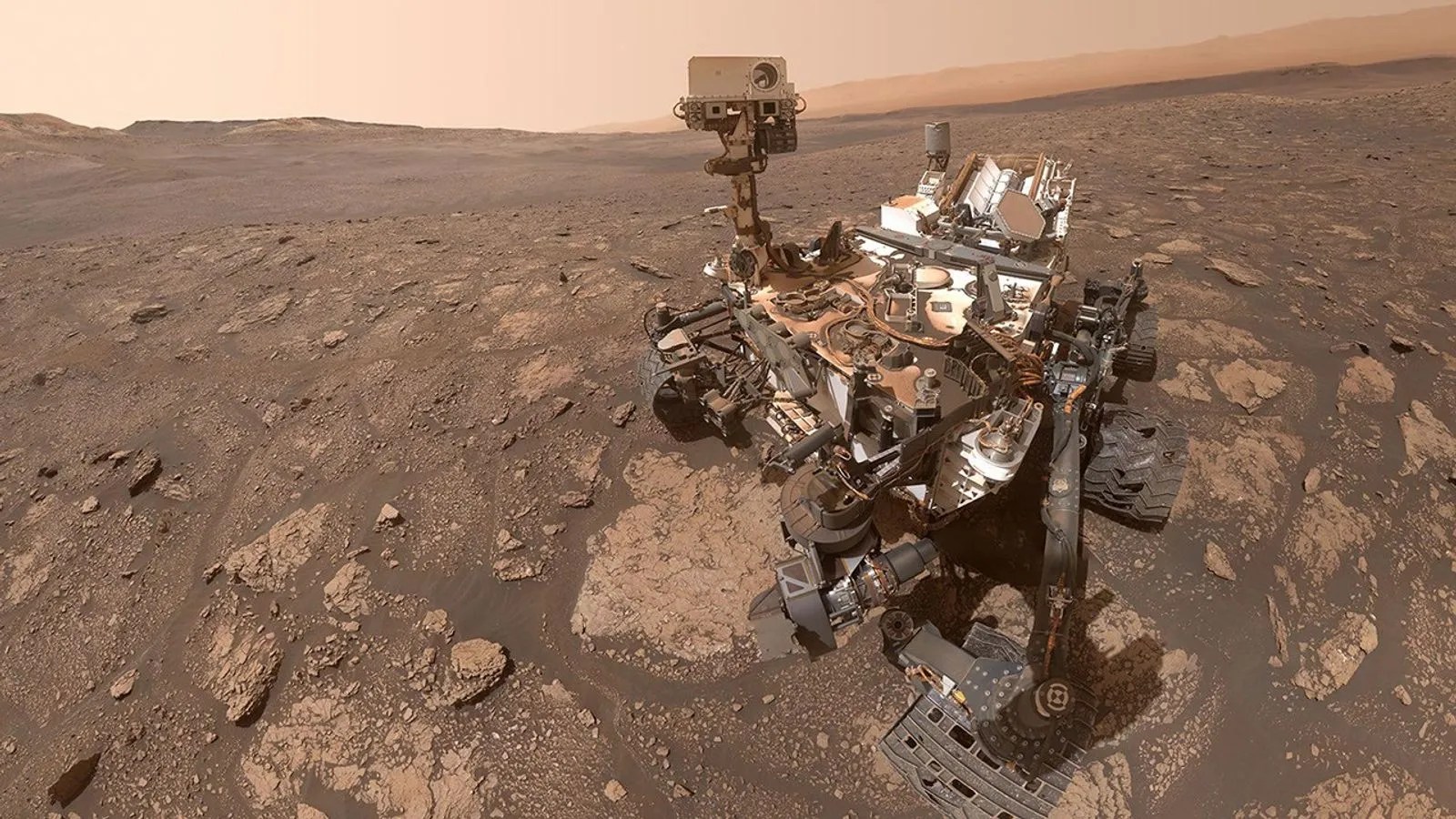 Fungal Survivors of Space: How Some Molds Could Ride to Mars and Back (2026)