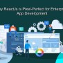 Why ReactJs Is Pixel-Perfect For Enterprise App Development In 2022?