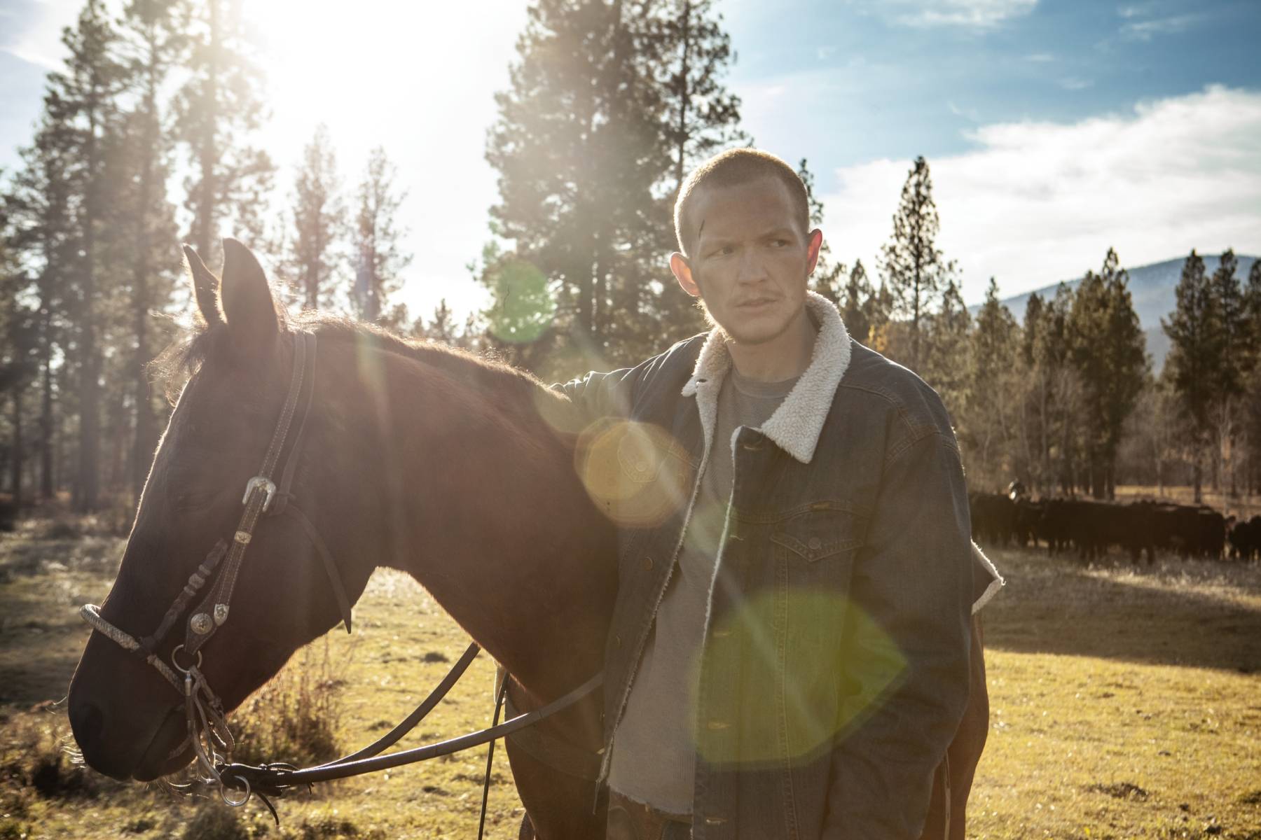Yellowstone, FOTO: Paramount Network / distr. Česká televize