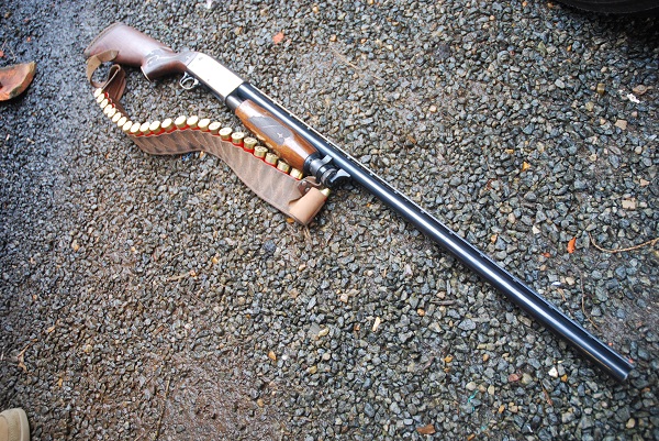  On Guns 