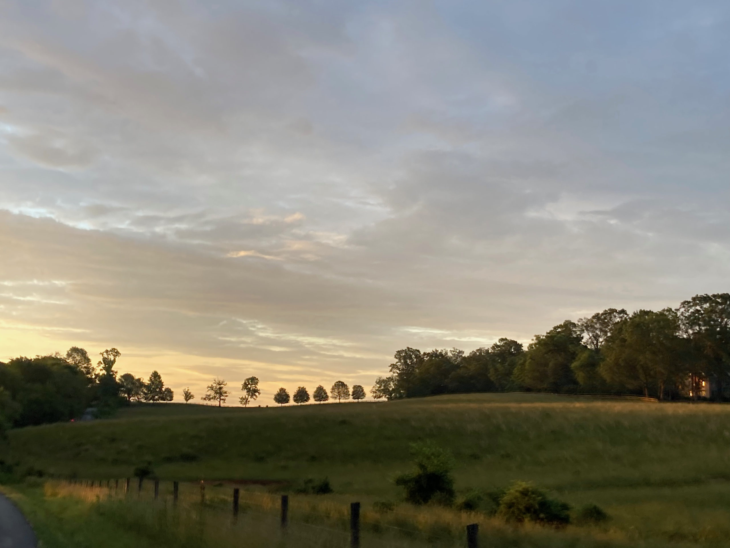 Plank Road. #FromtheBicycle