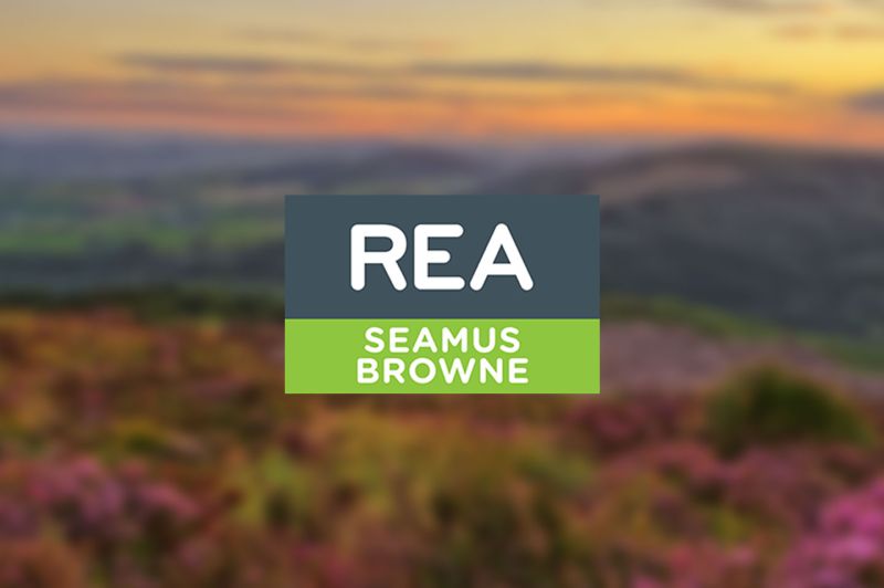 Seamusbrowne Seamus Browne Github - Sunset Art Collection - Retina Quality