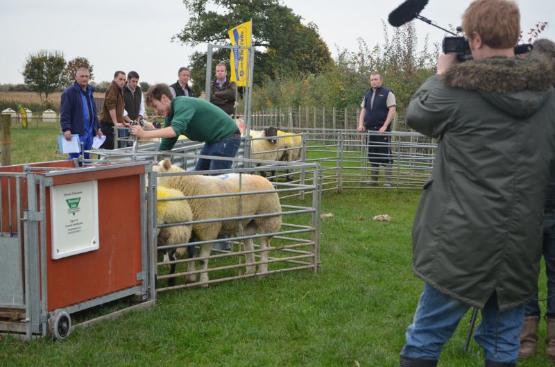 Shepherd Is Top Reaseheath College Apprentice Reaseheath College - Download Gorgeous Sunset Background | Retina