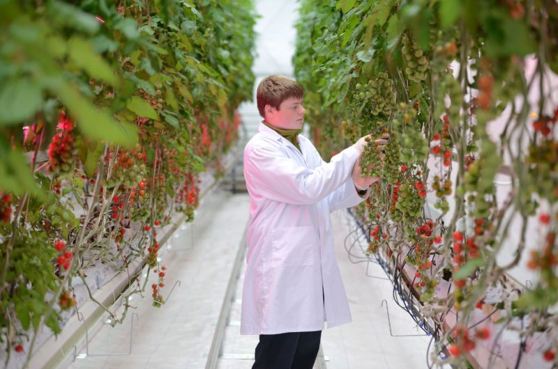 Page 28 31 Horticulture Production Horticulture Main Image Reaseheath - Premium Space Image Gallery - High Resolution