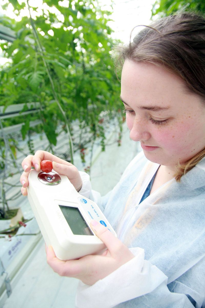 Page 28 31 Horticulture Production Horticulture Main Image Reaseheath - Desktop Minimal Designs for Desktop