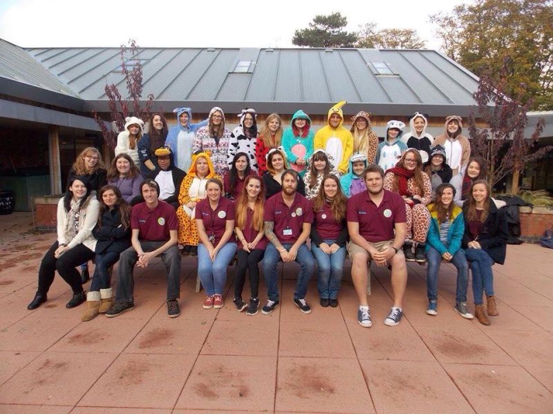 Mammal Society 1 Reaseheath College - Stunning Gradient Wallpaper - 4K