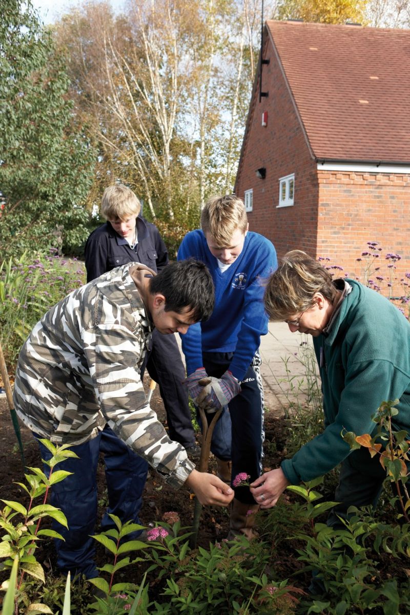 Horticulture Reaseheath College - Stunning Abstract Texture - Retina