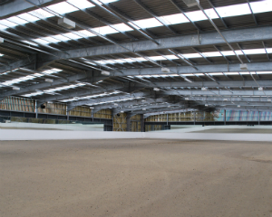 Riding Reaseheath College - Premium 4K Landscape Designs | Free Download