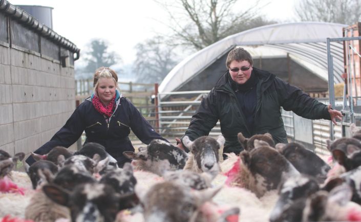 Agriculture 2 Reaseheath College - Perfect 8K Space Images | Free Download