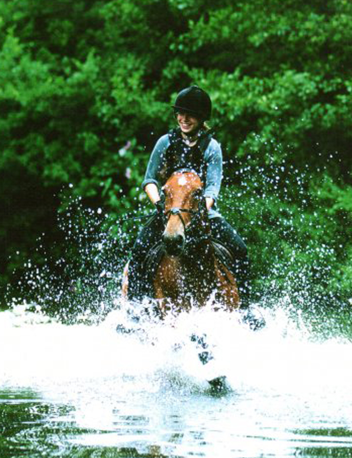 Bsc Hons Equine Science Charlotte Woolley Reaseheath College - Best Colorful Photos in High Resolution