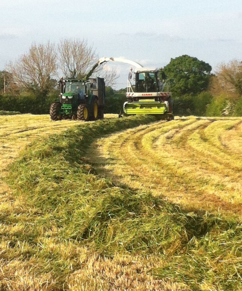 Dealerships Join Reaseheath College To Enhance Student Experience - Light Arts - High Quality 4K Collection