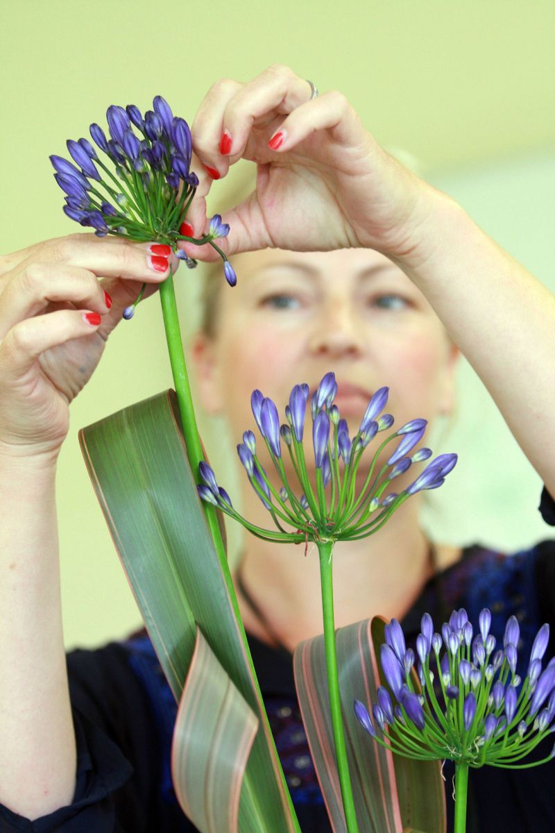 Img 3793 Reaseheath College - Modern City Illustration - High Resolution