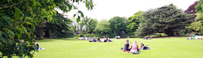 Safeguarding At Reaseheath Reaseheath College - Full HD Nature Patterns for Desktop