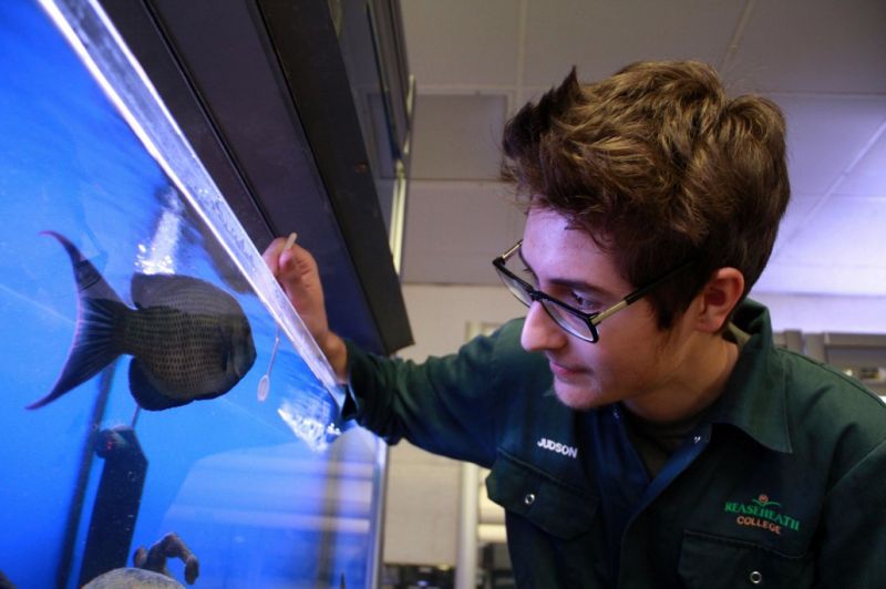 Animal Management Reaseheath College - Best Vintage Designs in 4K