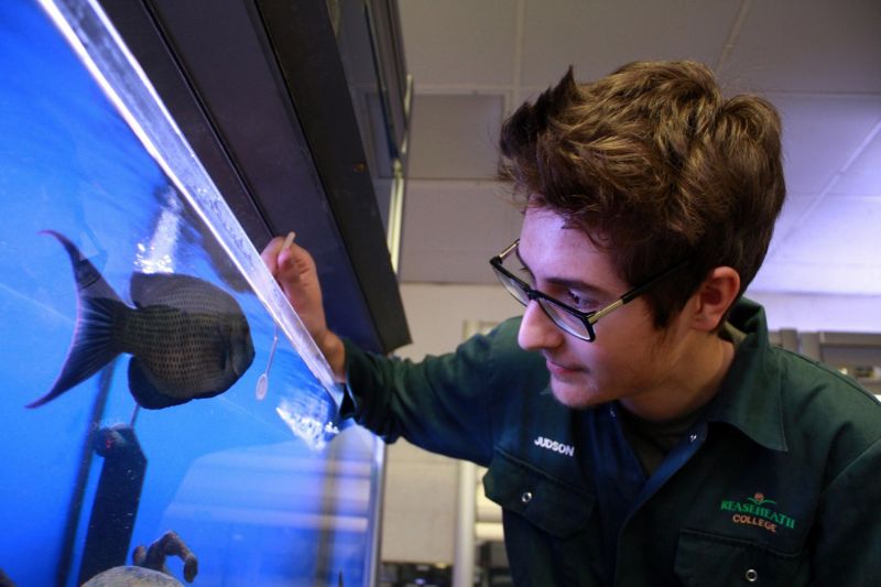 What It S Like To Study Animal Management At Reaseheath By Niamh Hearty - Creative Ultra HD Minimal Illustrations | Free Download