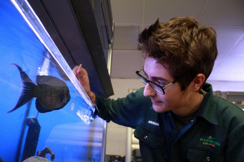 Fe Animal Management Study Tour 2016 009 Reaseheath College - Perfect Abstract Wallpaper - Ultra HD