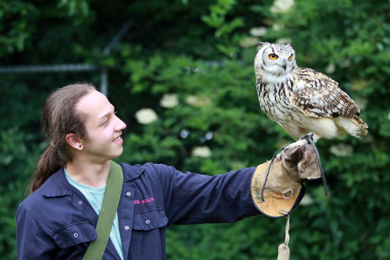 Animal Management Reaseheath College - Ultra HD City Art - High Resolution