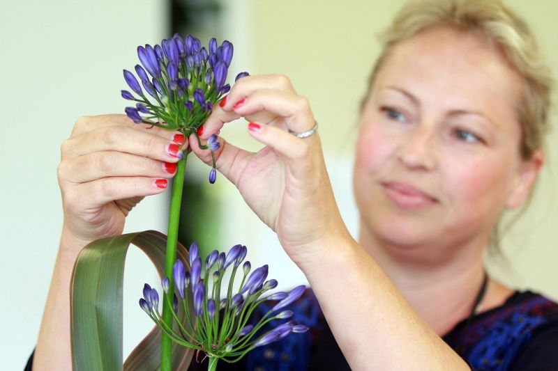 Floristry Student With Creation 2 Reaseheath College - Ultra HD Desktop Gradient Backgrounds | Free Download