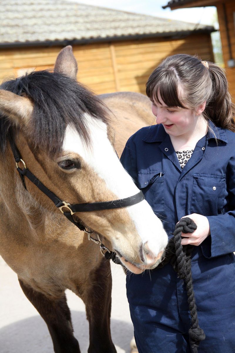Foundation Student Grooming A Horse Reaseheath College - Ultra HD Desktop Gradient Backgrounds | Free Download