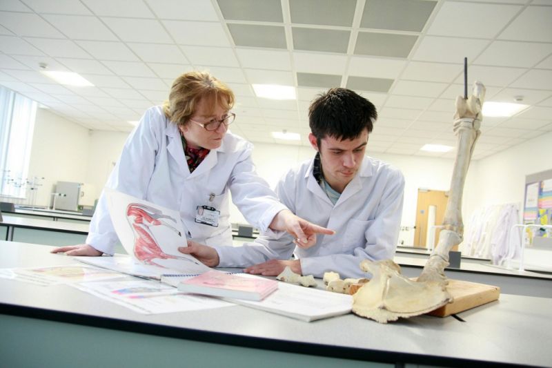 Meet The Equine Experts Reaseheath College - Download Stunning Space Image | HD