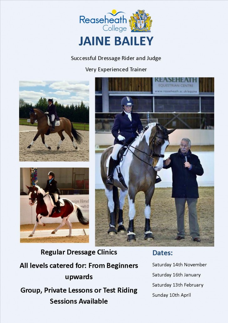 Dressage Clinic Reaseheath College - Incredible Retina Geometric Textures | Free Download