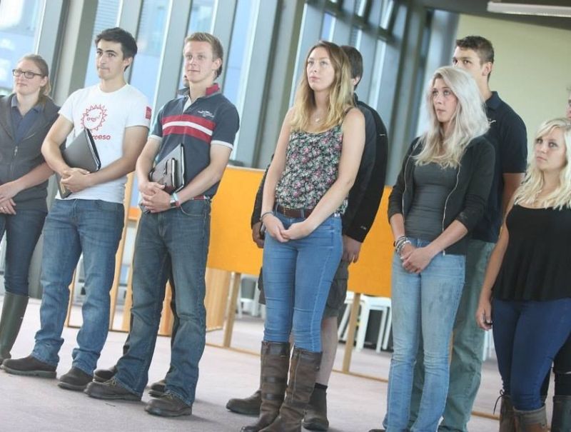 Farmers Apprentice Sheep Task Reaseheath College - Download Gorgeous Gradient Texture | Mobile