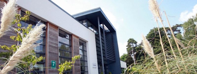 Reaseheath College Students Shine In Gcse Results Reaseheath College - Download Stunning Ocean Art | Full HD