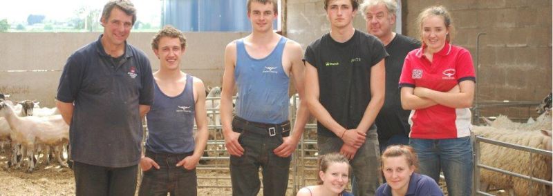 British Wool Shearing Utass - Professional HD Geometric Images | Free Download