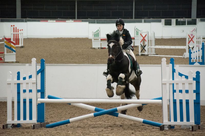 Show Jumps Equine Reaseheath College - Ocean Textures - Classic 4K Collection