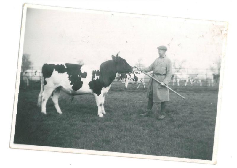 Traditional Agriculture Memories Of A Student Reaseheath College - Elegant Ultra HD Geometric Images | Free Download