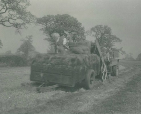 Traditional Agriculture Memories Of A Student Reaseheath College - Premium Mountain Wallpaper Gallery - Ultra HD