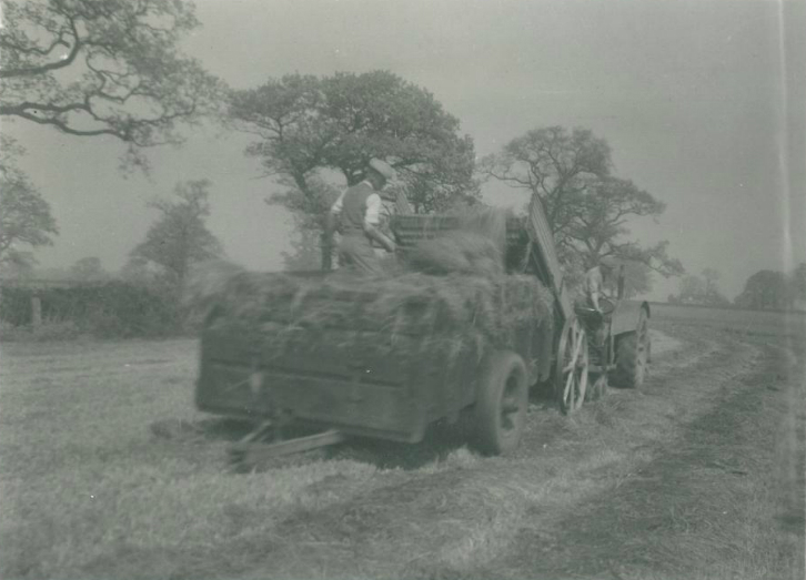 Traditional Agriculture Memories Of A Student Reaseheath College - Premium Landscape Background Gallery - Ultra HD