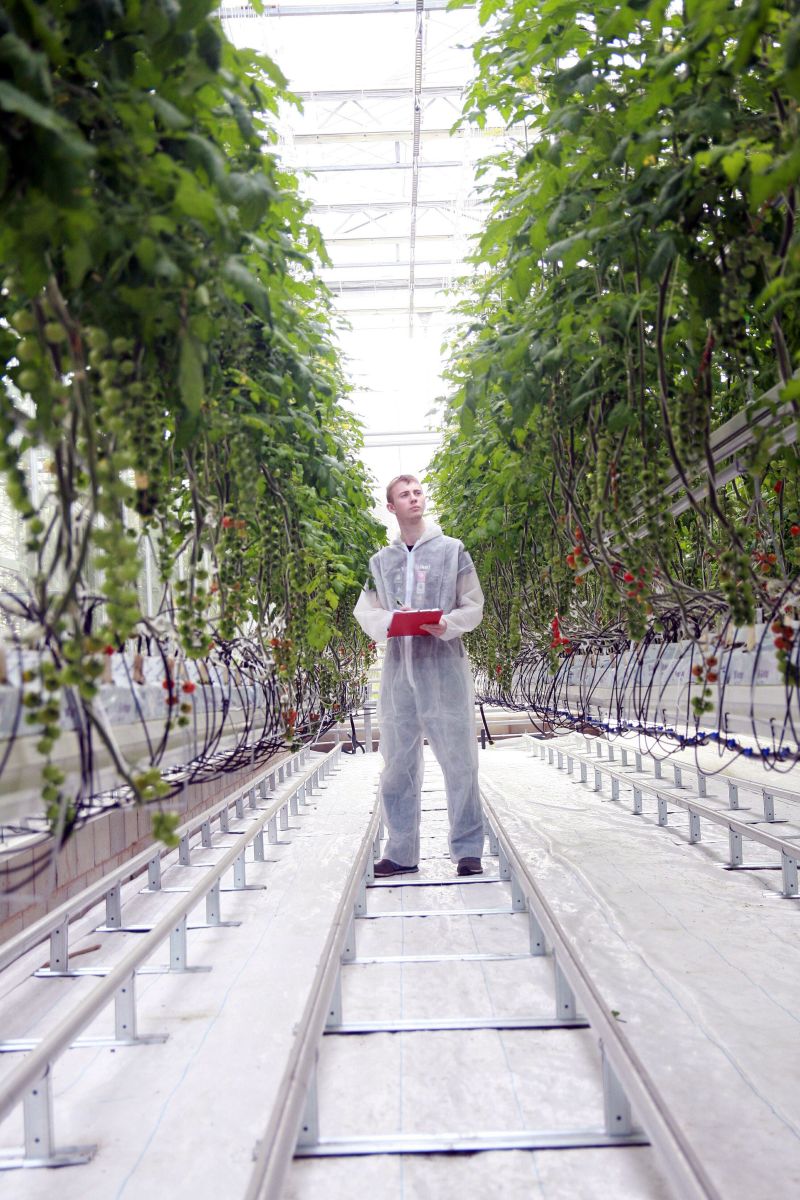 Agri Tech Facility Reaseheath College - Premium Desktop Colorful Images | Free Download