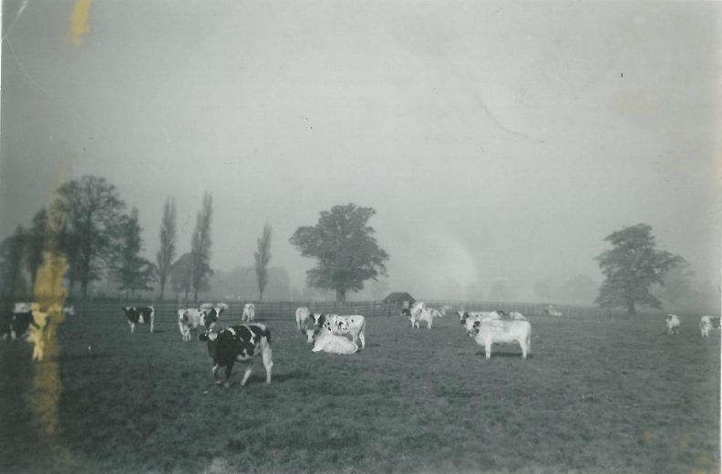 Traditional Agriculture Memories Of A Student Reaseheath College - Desktop Sunset Designs for Desktop