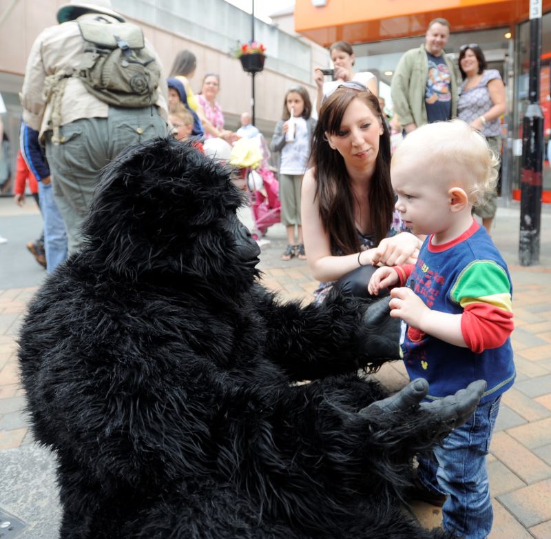 Reaseheath College Gears Up For Family Festival Reaseheath College - Ultra HD Space Photos for Desktop
