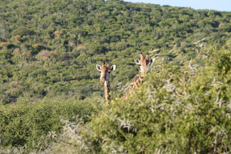 Fe Animal Management Study Tour 2016 009 Reaseheath College - Premium Colorful Picture Gallery - Full HD