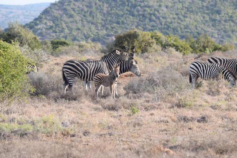 Fe Animal Management Study Tour 2016 3 49 Reaseheath College - Amazing Ocean Art - High Resolution