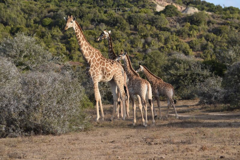 Animal Management Study Tour Reaseheath College - Gorgeous Minimal Design - High Resolution