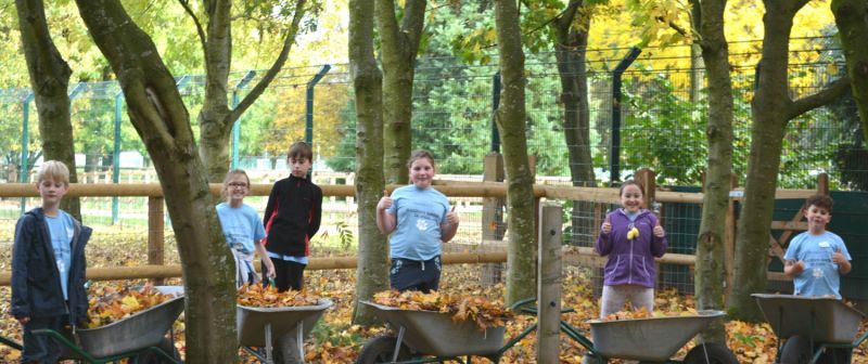 Reaseheath College Re Opens Campus And Zoo To Public - Download Perfect Gradient Background | Full HD