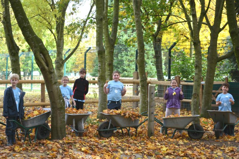 Zoo School 8th 10th August Reaseheath Zoo - Download Stunning Geometric Wallpaper | 8K