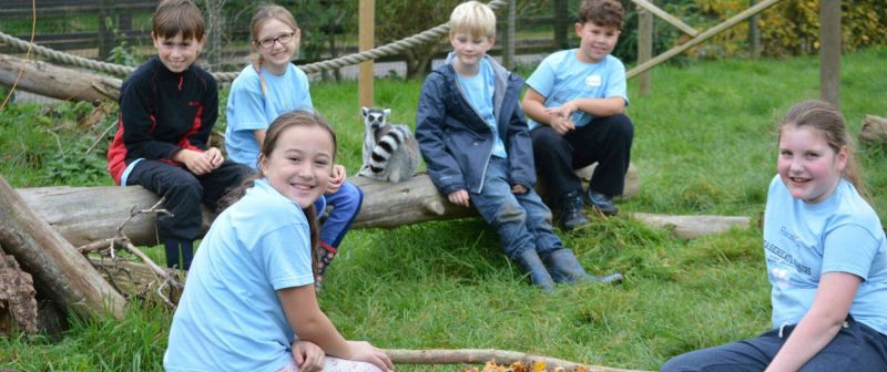 Zoo School 8th 10th August Reaseheath Zoo - Premium Colorful Illustration Gallery - HD