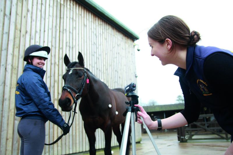 Equine Fun Day Reaseheath College - Desktop Space Patterns for Desktop