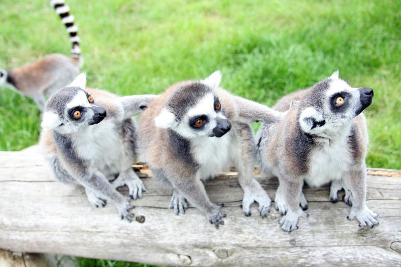 Short Courses Reaseheath College - Mobile Space Images for Desktop