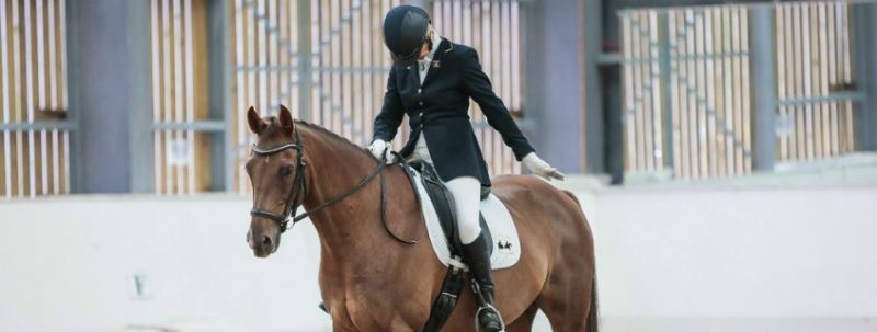 Dressage 1 Reaseheath College - Premium Geometric Wallpaper Gallery - 4K