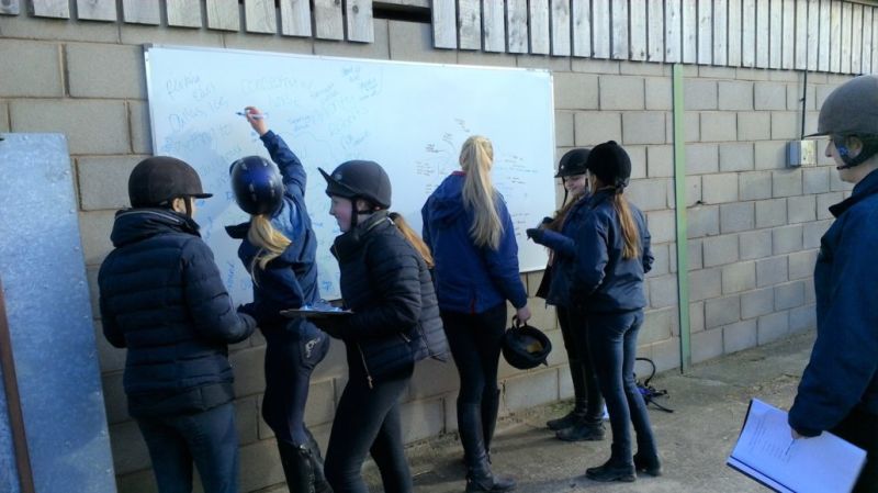 Horse Care Apprentices Enjoy Demo Day Reaseheath College - Premium Sunset Texture Gallery - Full HD
