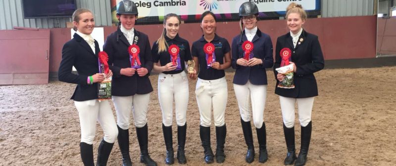 Reaseheath College Equine Students Ride High In Uk Competition - Ocean Art Collection - Retina Quality
