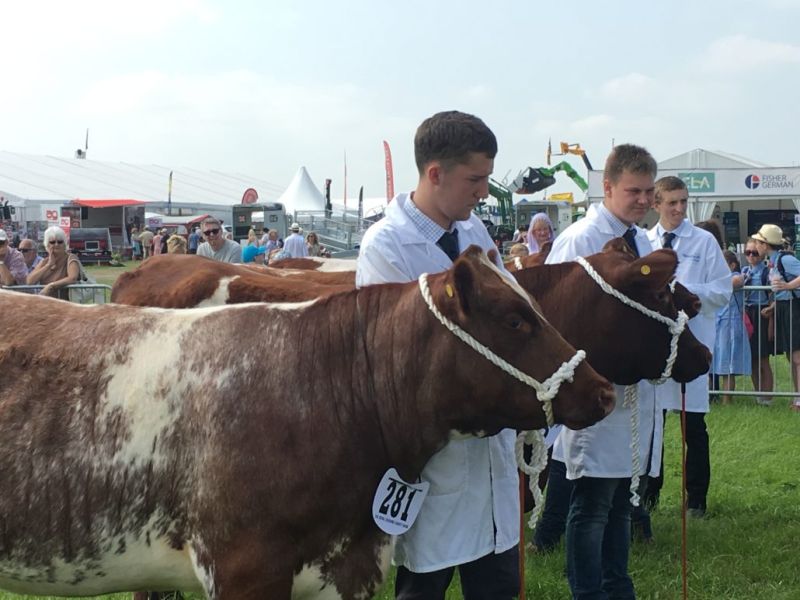 Reaseheath College Shines At Sizzling Royal Cheshire Show Reaseheath College - Light Photos - Amazing Desktop Collection