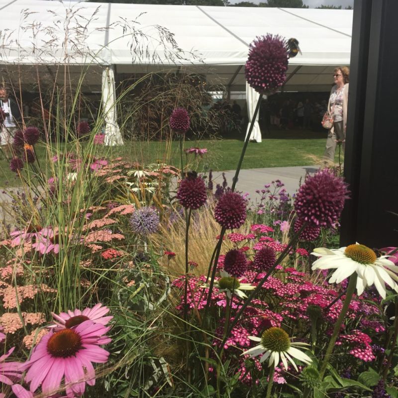 Reaseheath Lecturer Achieves Coveted Gold Medal At Rhs Tatton Park Reaseheath College - City Design Collection - HD Quality