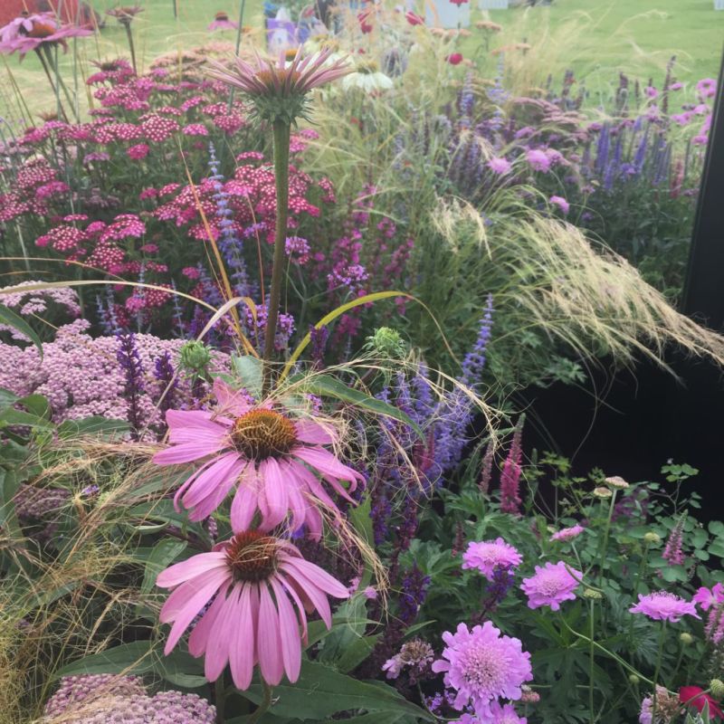 Reaseheath Lecturer Achieves Coveted Gold Medal At Rhs Tatton Park Reaseheath College - Landscape Images - Classic Ultra HD Collection